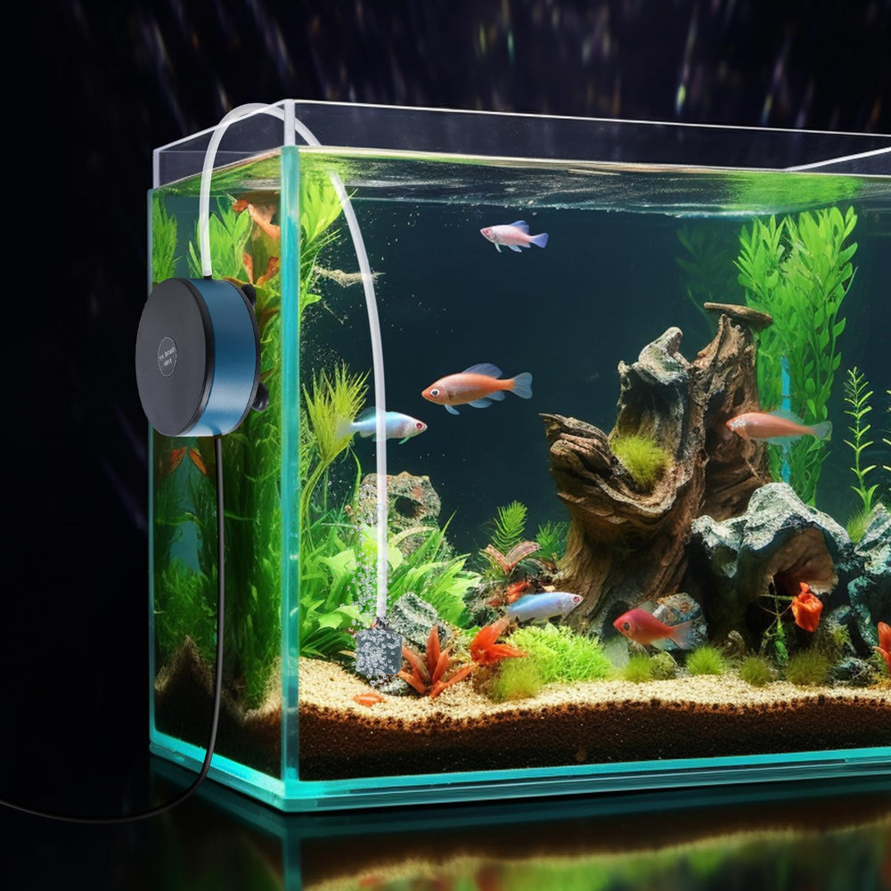 Todosy Nano Silent Pump quiet-operation captures near-silent performance during daily tank care