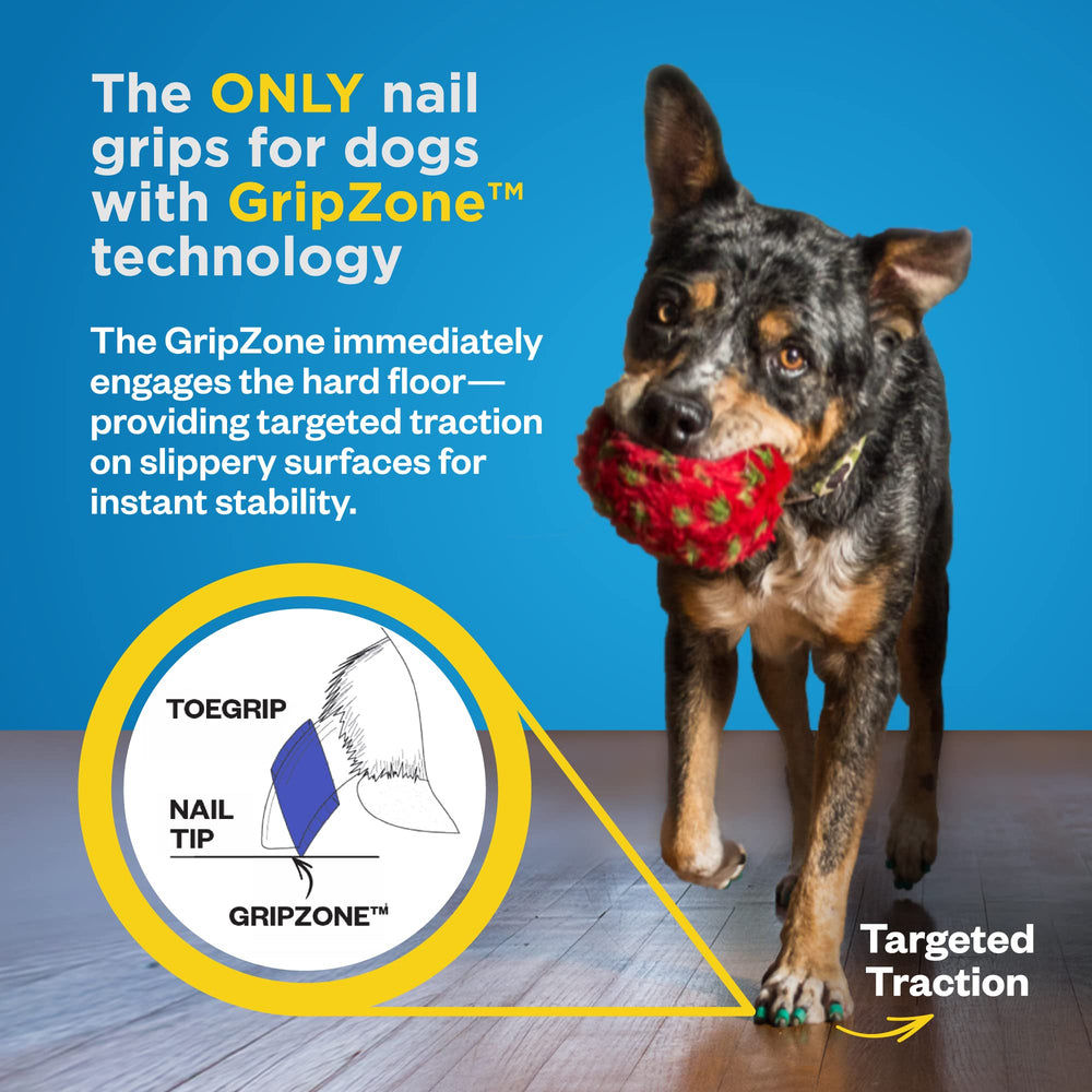 ToeGrips application steps image highlights proper fitting process