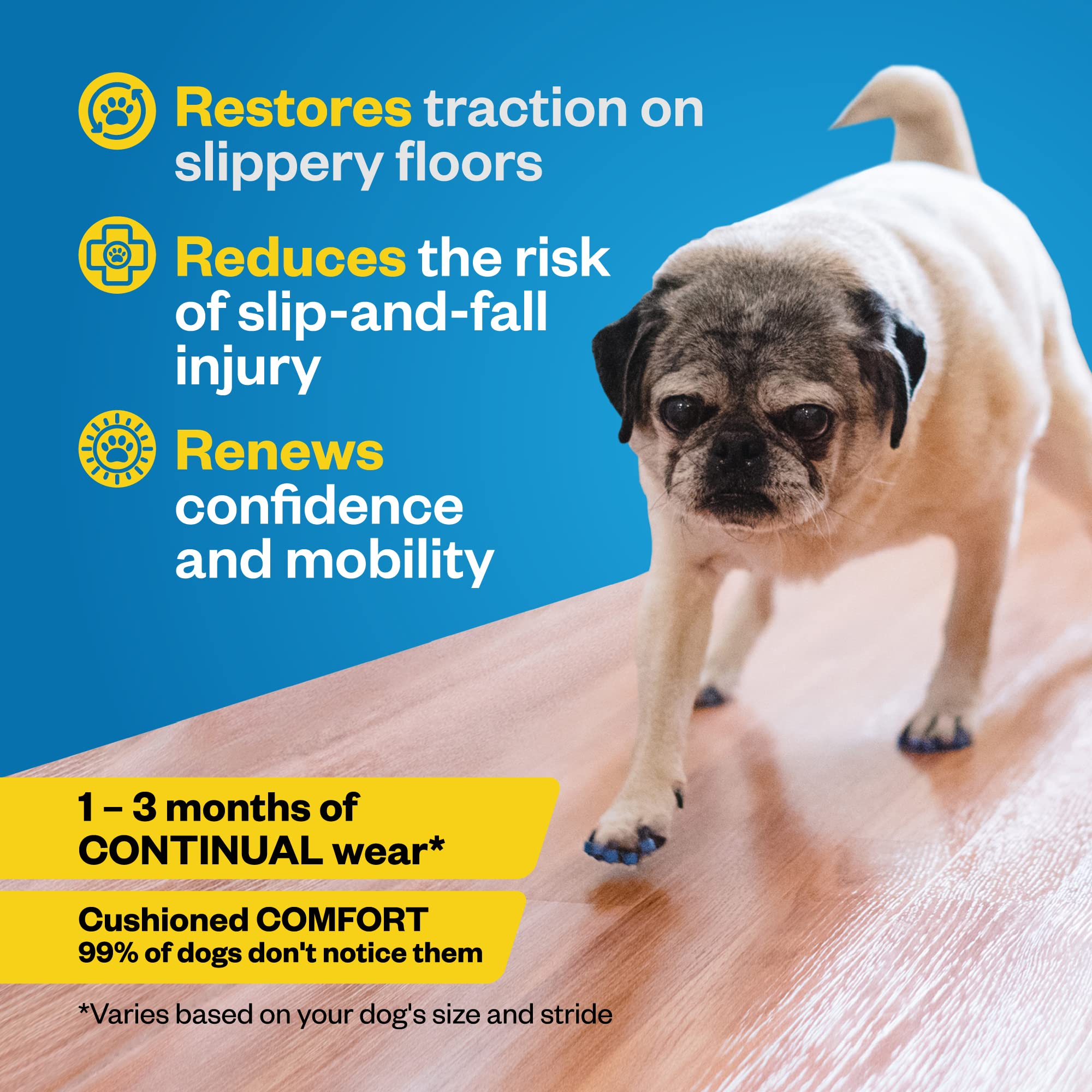 ToeGrips senior dog traction image demonstrates confident movement