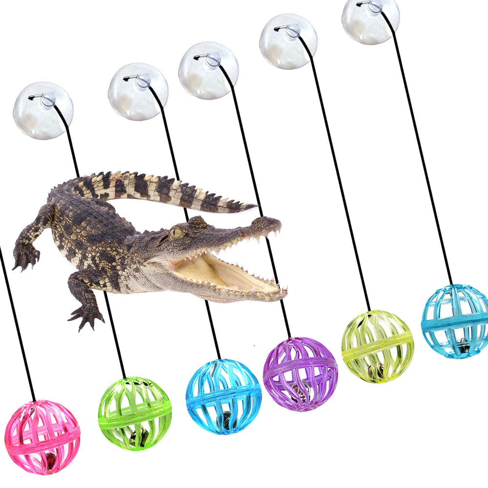 Together-life bearded dragon toy ball features rope for added interactive repositioning and rolling fun