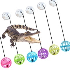 Together-life bearded dragon toy ball features rope for added interactive repositioning and rolling fun