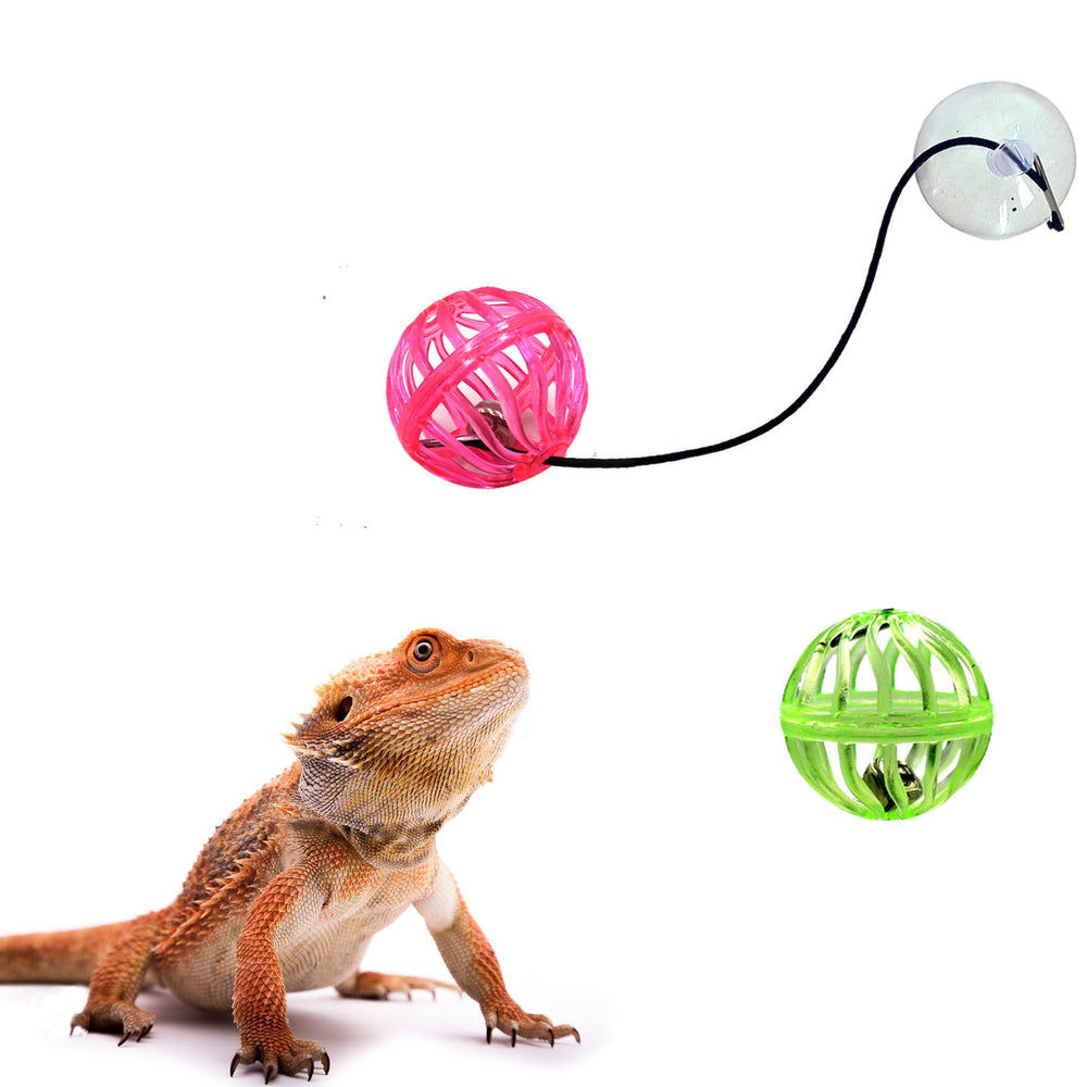 Together-life reptile toy bell ball colorful accents attract attention and encourage active exploration