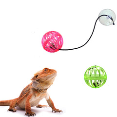 Together-life reptile toy bell ball colorful accents attract attention and encourage active exploration