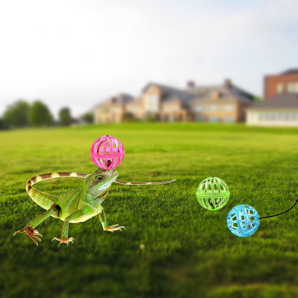 Together-life suction cup usage floor play for versatile reptile enrichment