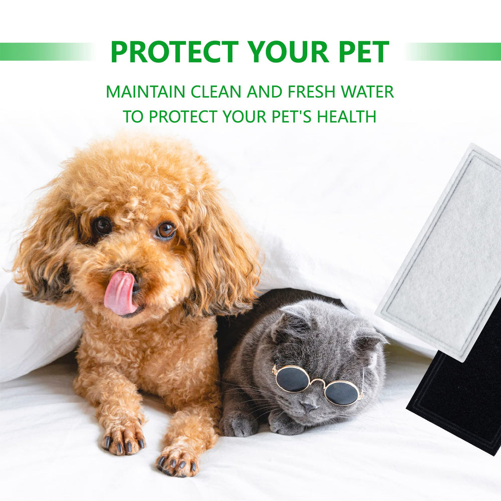 TOGGATH 12-pack lifestyle shot shows consistent filtration supporting pet hydration.