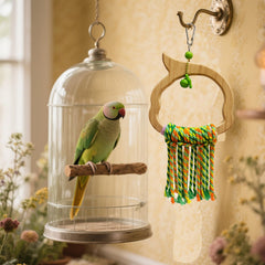 TogyGooty bird swing perching-wood-surface provides natural chewing and resting