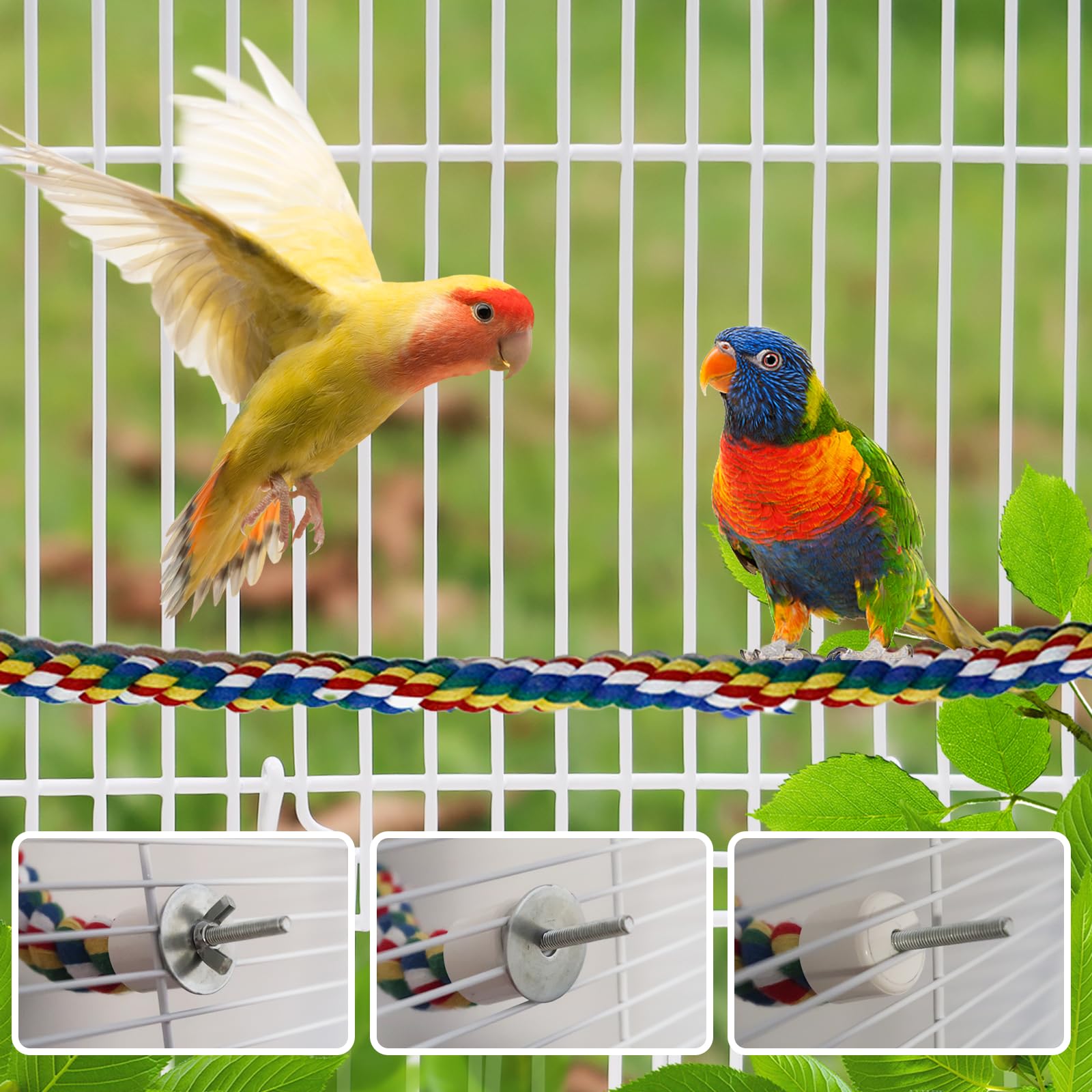 TogyGooty outdoor aviary use in shaded area encourages safe exploration.