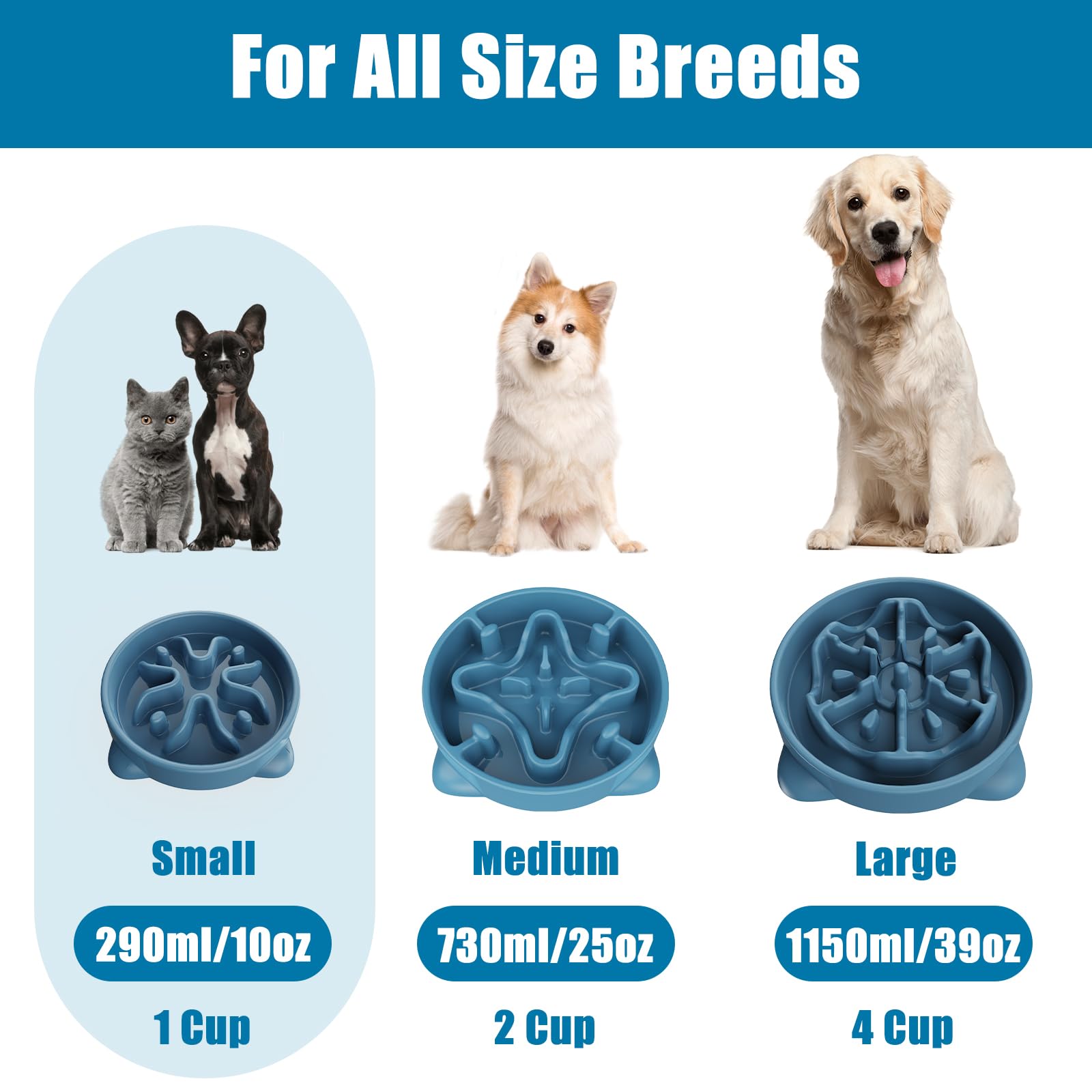 TOKAYIFE small 1 cup bowl suits tiny pets and portions.