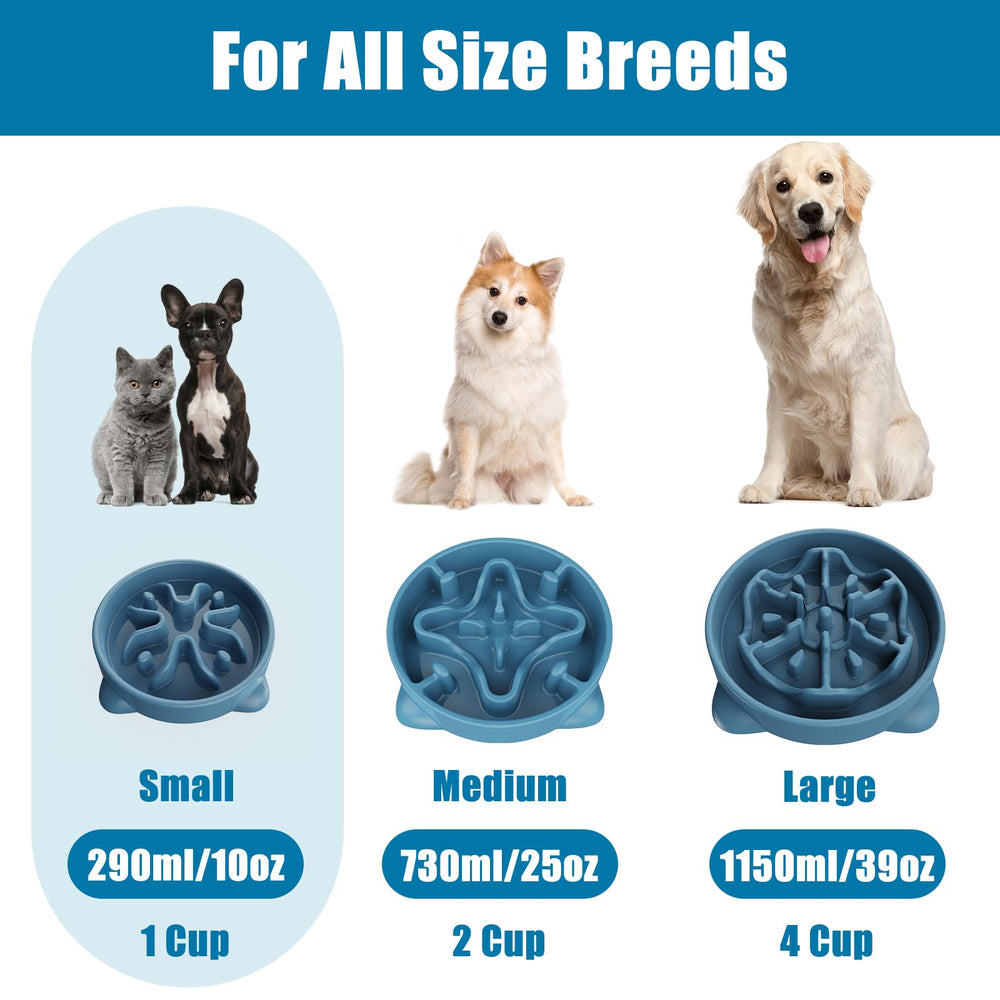 TOKAYIFE small 1 cup bowl suits tiny pets and portions.