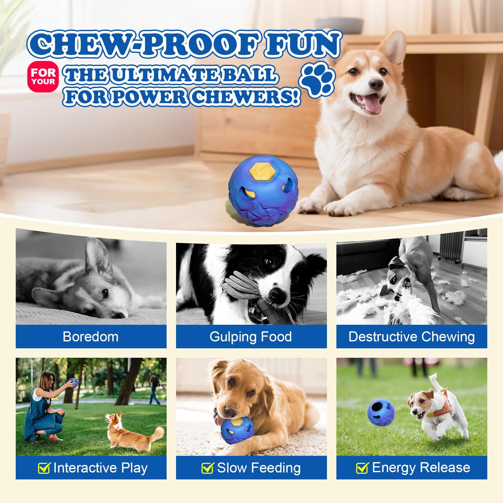 Tokwidget Indoor Outdoor Enrichment supports versatile play anywhere, rain or shine.