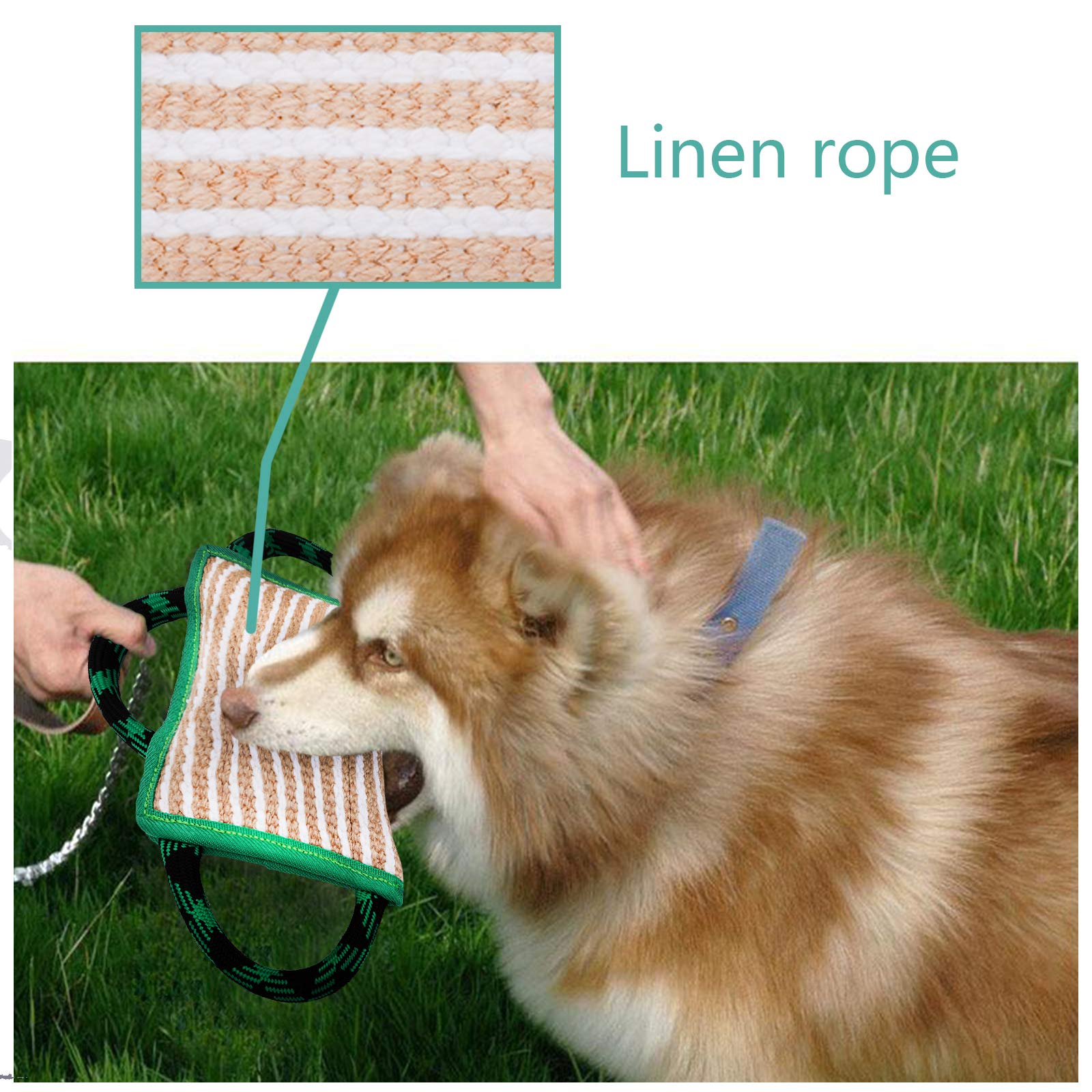 ToLanbbt soft-fill green bite pillow supports fun, focused training sessions.