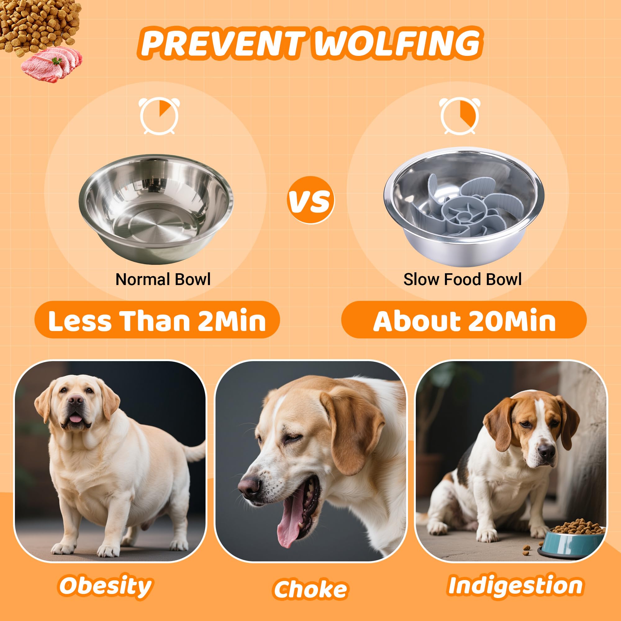 Tolopu elevated dog bowls easy-assembly design lets you set up without tools.