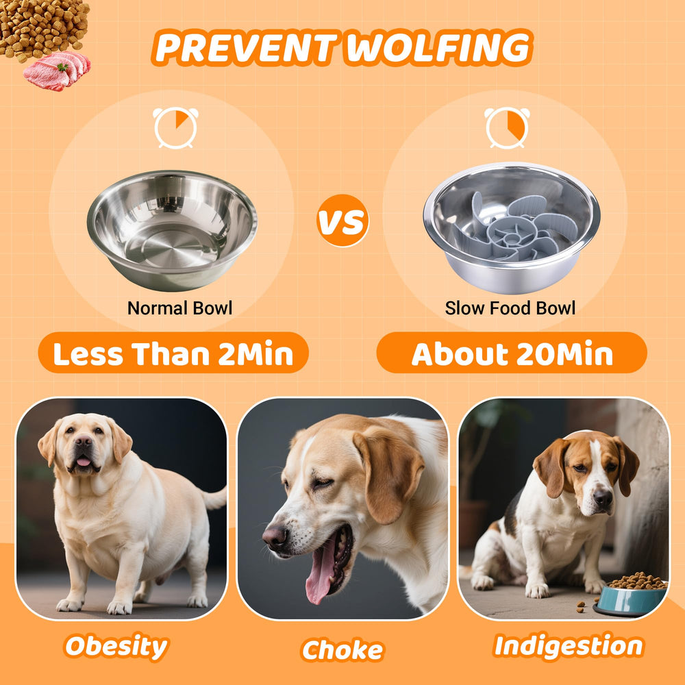 Tolopu elevated dog bowls easy-assembly design lets you set up without tools.