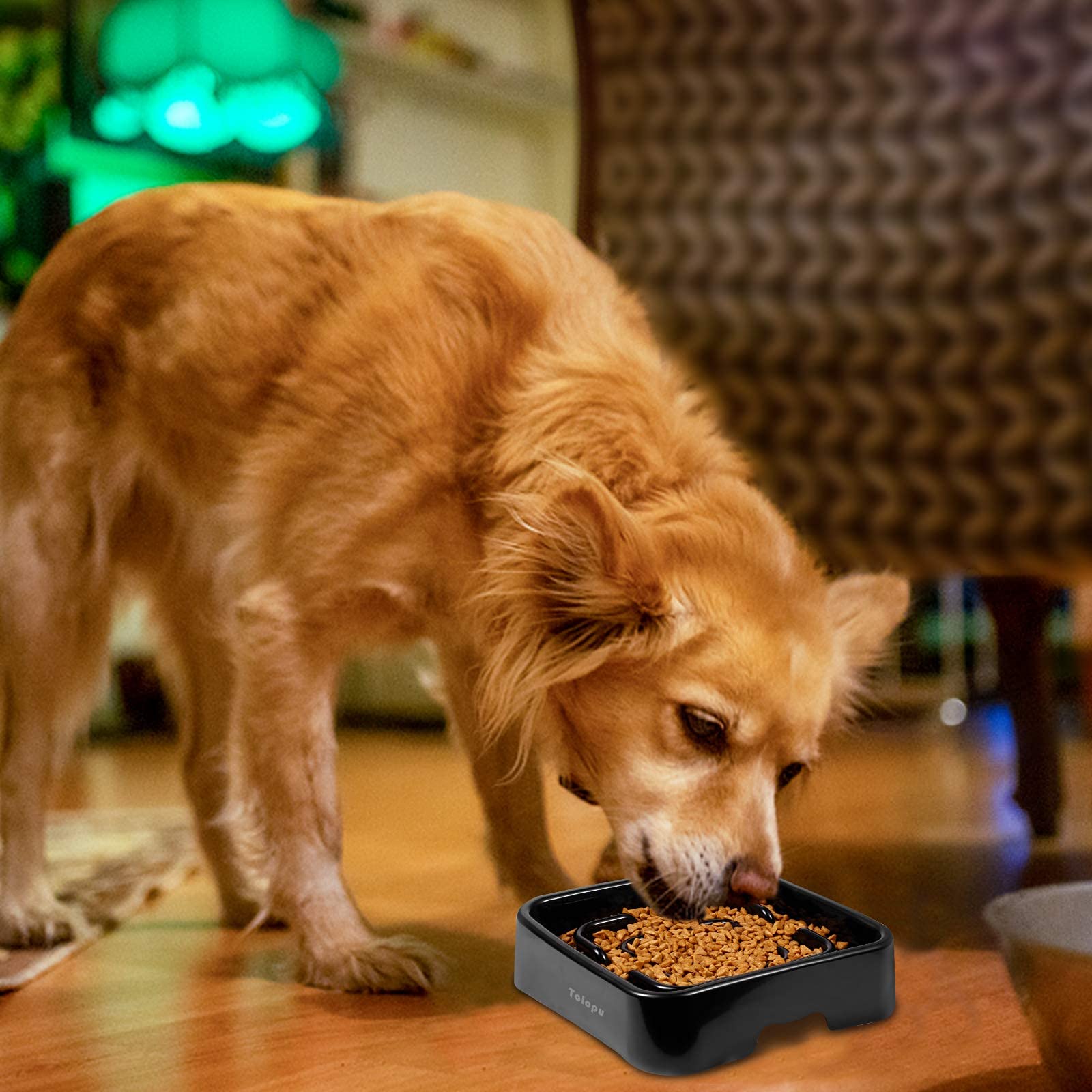 Tolopu large dog bowl in action promoting calm, steady eating
