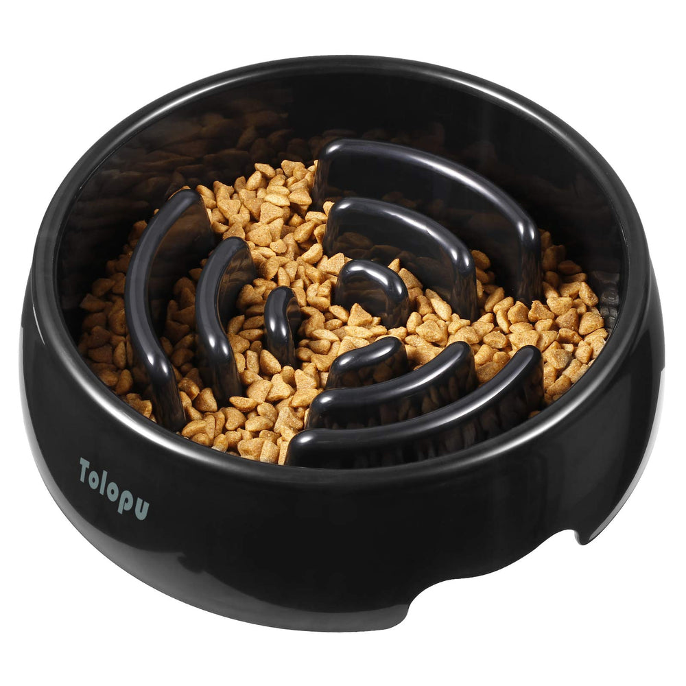 Tolopu large slow feeder dog bowl in black with 8-cup capacity.