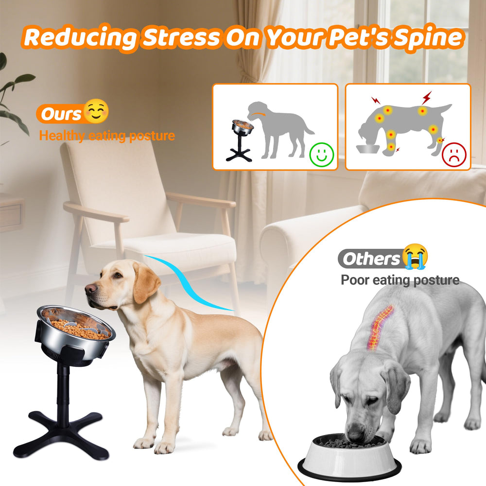 Tolopu 2-pack elevated bowls provide convenient multi-dog feeding.