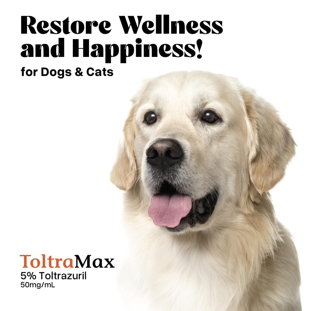 ToltraMax Toltrazuril vet recommendation image emphasizes professional endorsement.