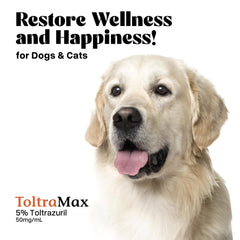 ToltraMax Toltrazuril vet recommendation image emphasizes professional endorsement.