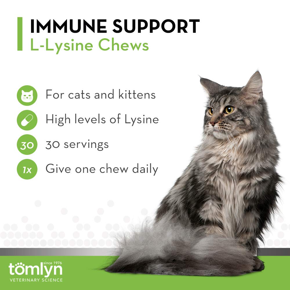 Tomlyn Immune Support Daily L-Lysine Chews carton labeled 1000 mg per day
