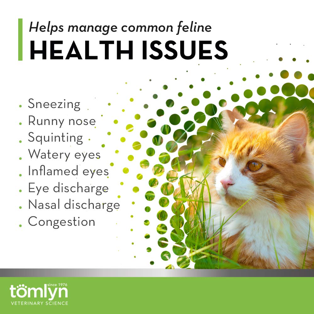 Tomlyn Immune Support Daily L-Lysine Chews with fish flavor appealing to cats during meals