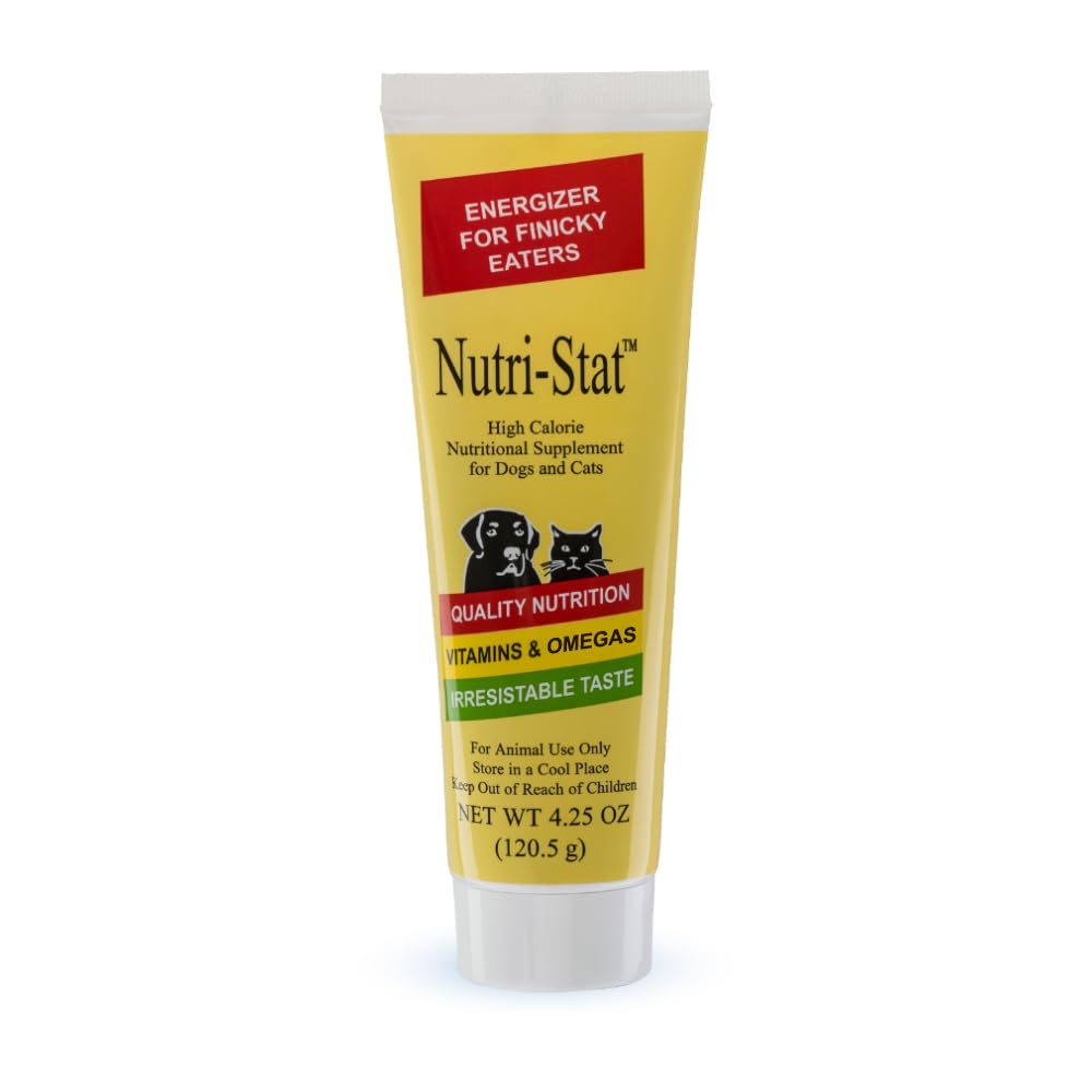 Tomlyn Nutri-Stat malt-flavored gel ready for pet serving, boosting calories during meals
