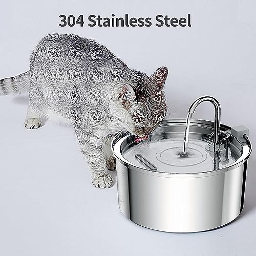 Tomxcute multi-pet suitability image demonstrates shared water source.
