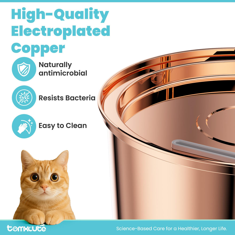 Tomxcute Copper Cat Water Fountain in multi-pet use showing shared hydration