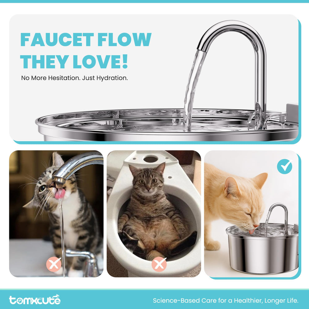 tomxcute quad-filtration system eliminates odors and debris
