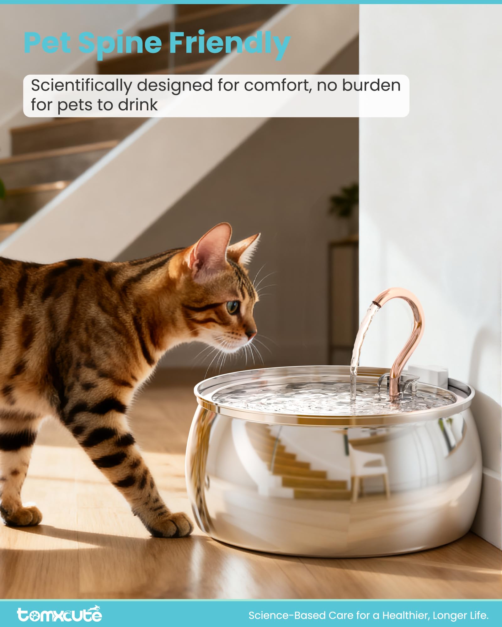 Tomxcute Quadruple Filtration System reduces odors and debris for cleaner water.