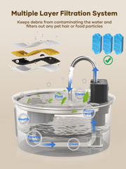 Tomxcute stainless steel bowl paired with durable pet hydration design