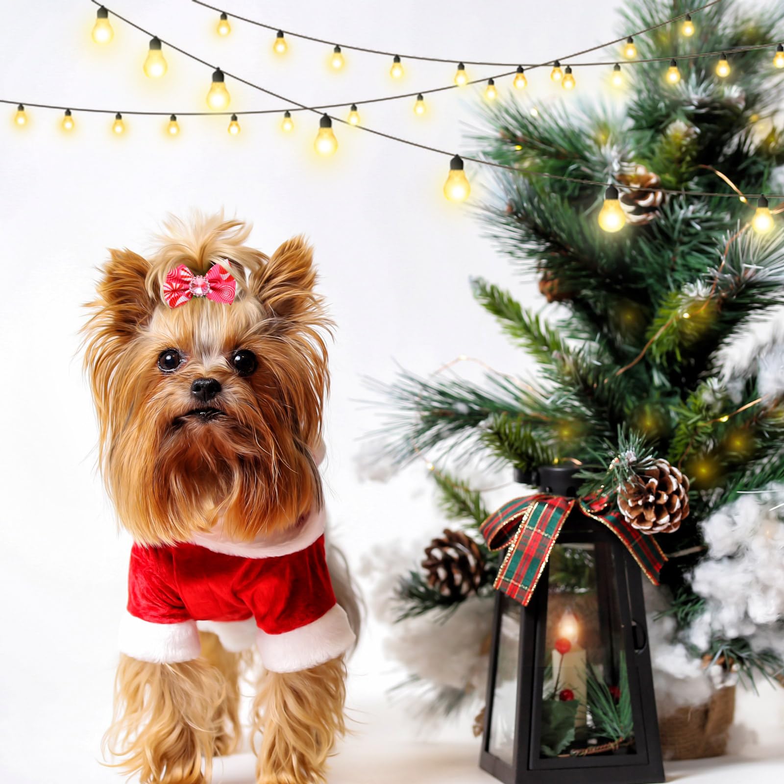 Tondiamo pink Christmas dog bows closeup highlights sparkle and charm