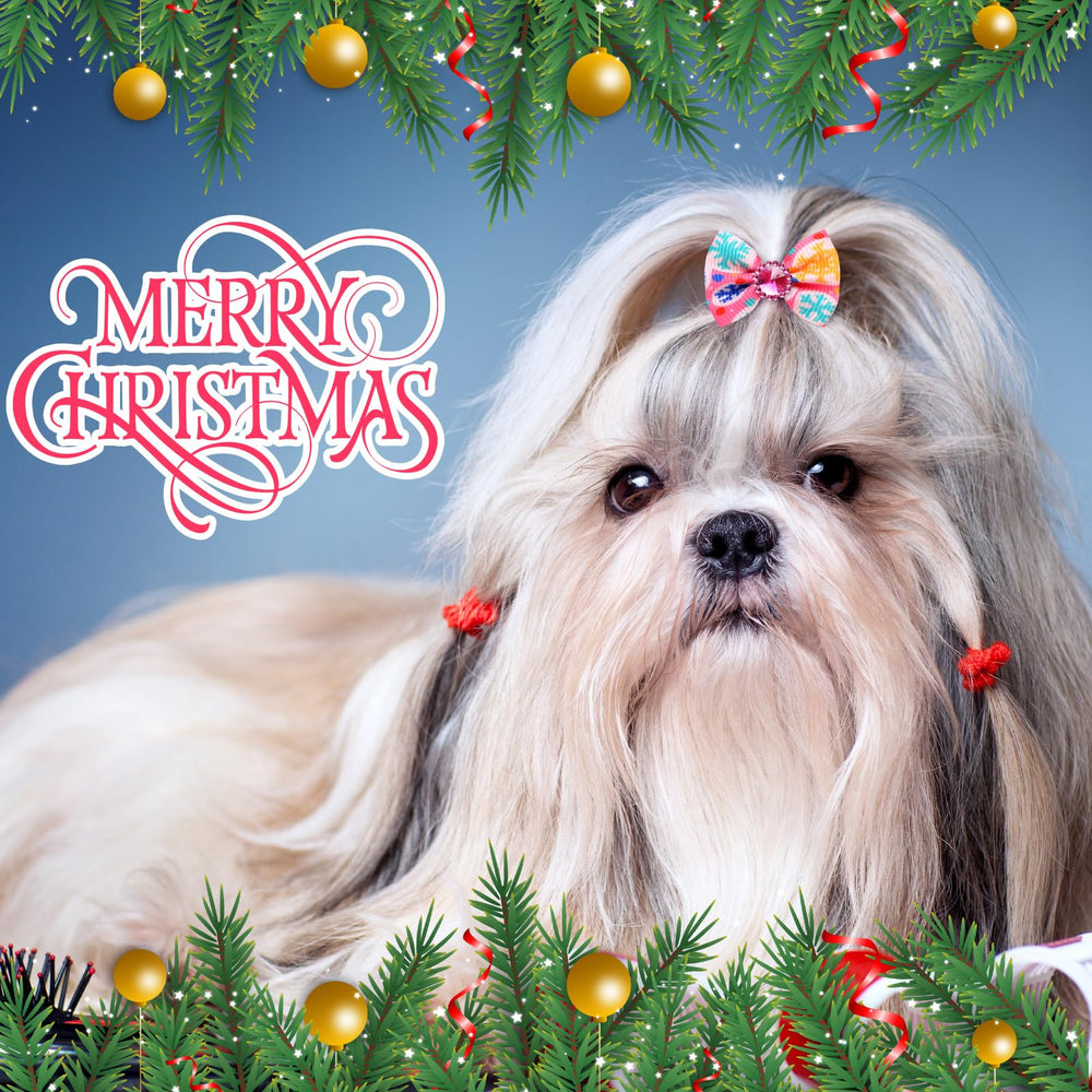 Tondiamo pink Christmas dog bows shown on a small dog for festive wear