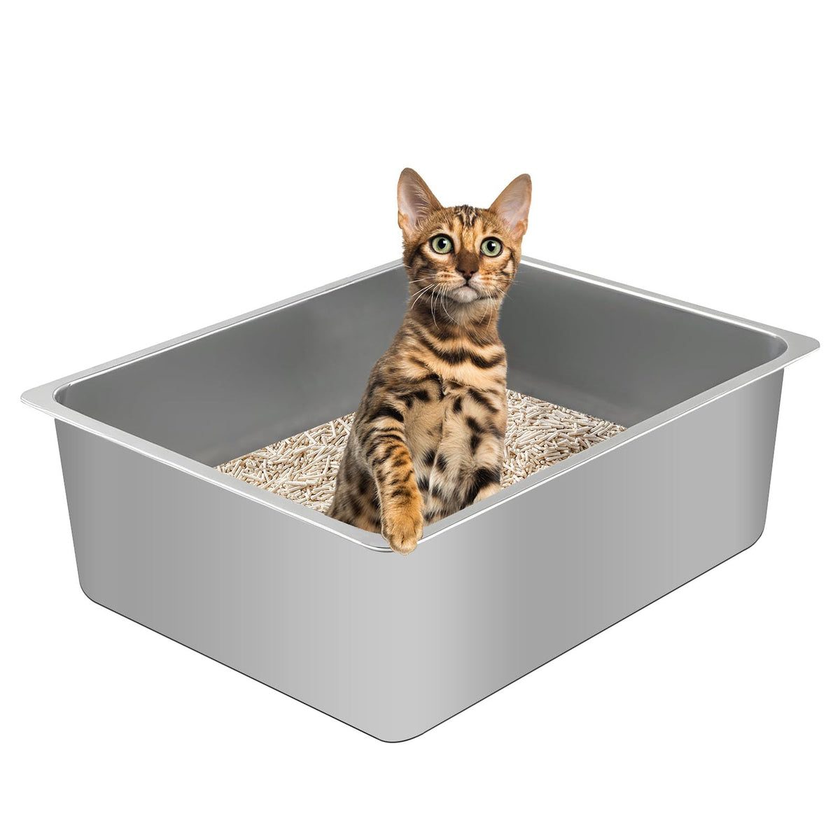 Tondid stainless steel cat litter box front view highlights durable, easy-to-clean design for daily use.