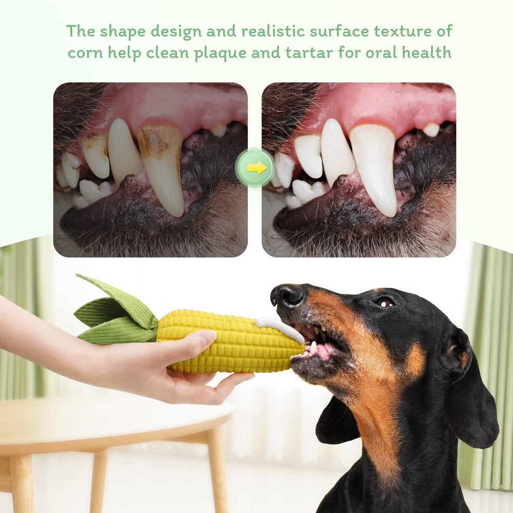 Tonep squeaky dog toy with built-in squeak for interactive play