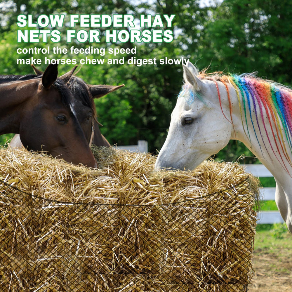 TONGMO round bale net used by equestrians for reliable feeding times