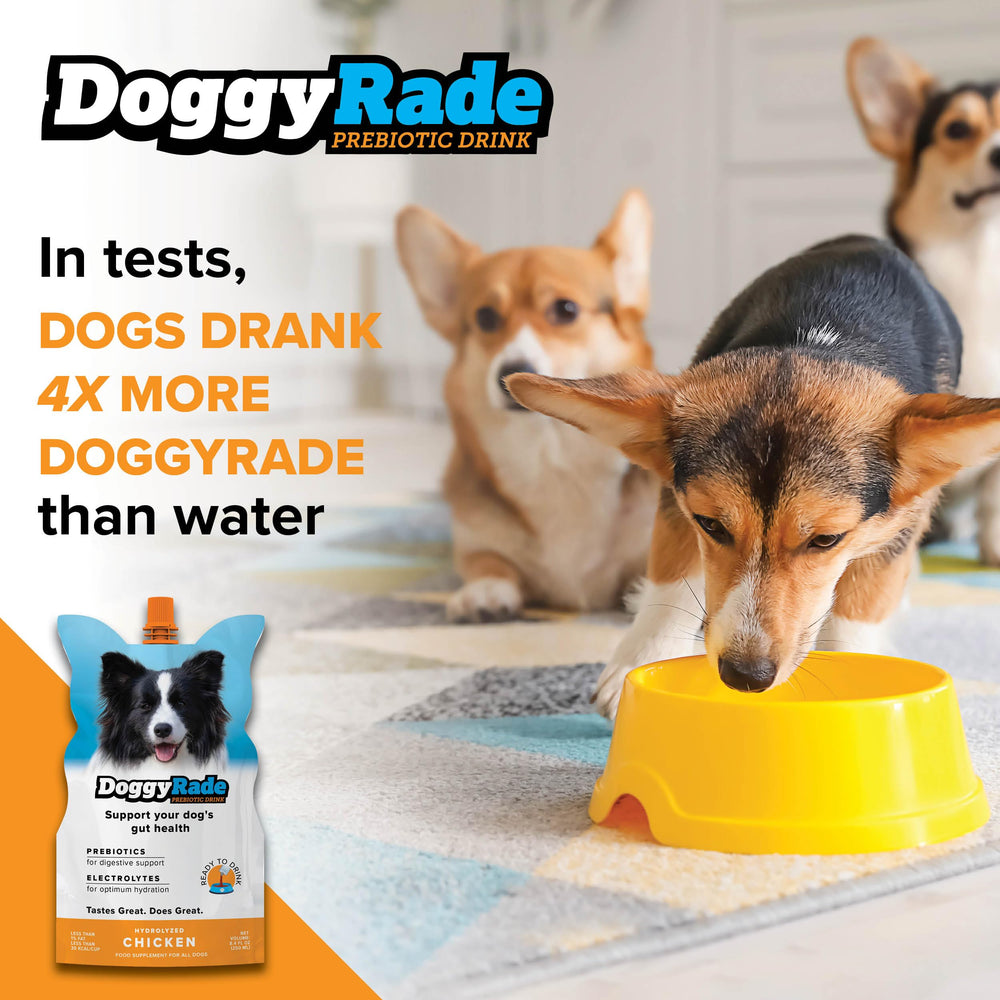 Tonisity DoggyRade chicken flavor boosts post-workout appeal.