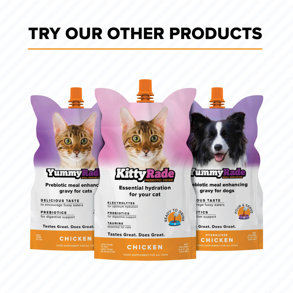 Tonisity DoggyRade label highlights electrolytes and prebiotics for gut-friendly nutrition.