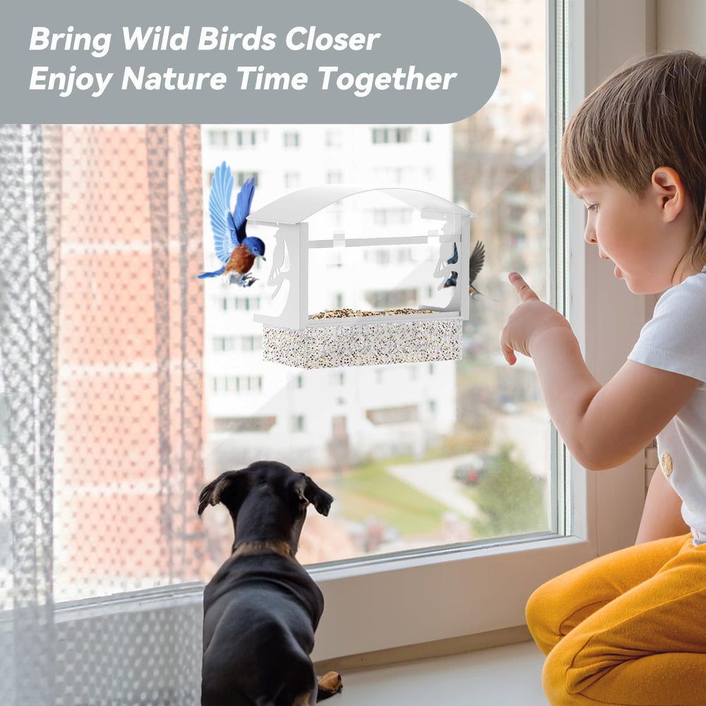 Tonitrui window bird feeder gift-friendly design makes an engaging wildlife gift for families.