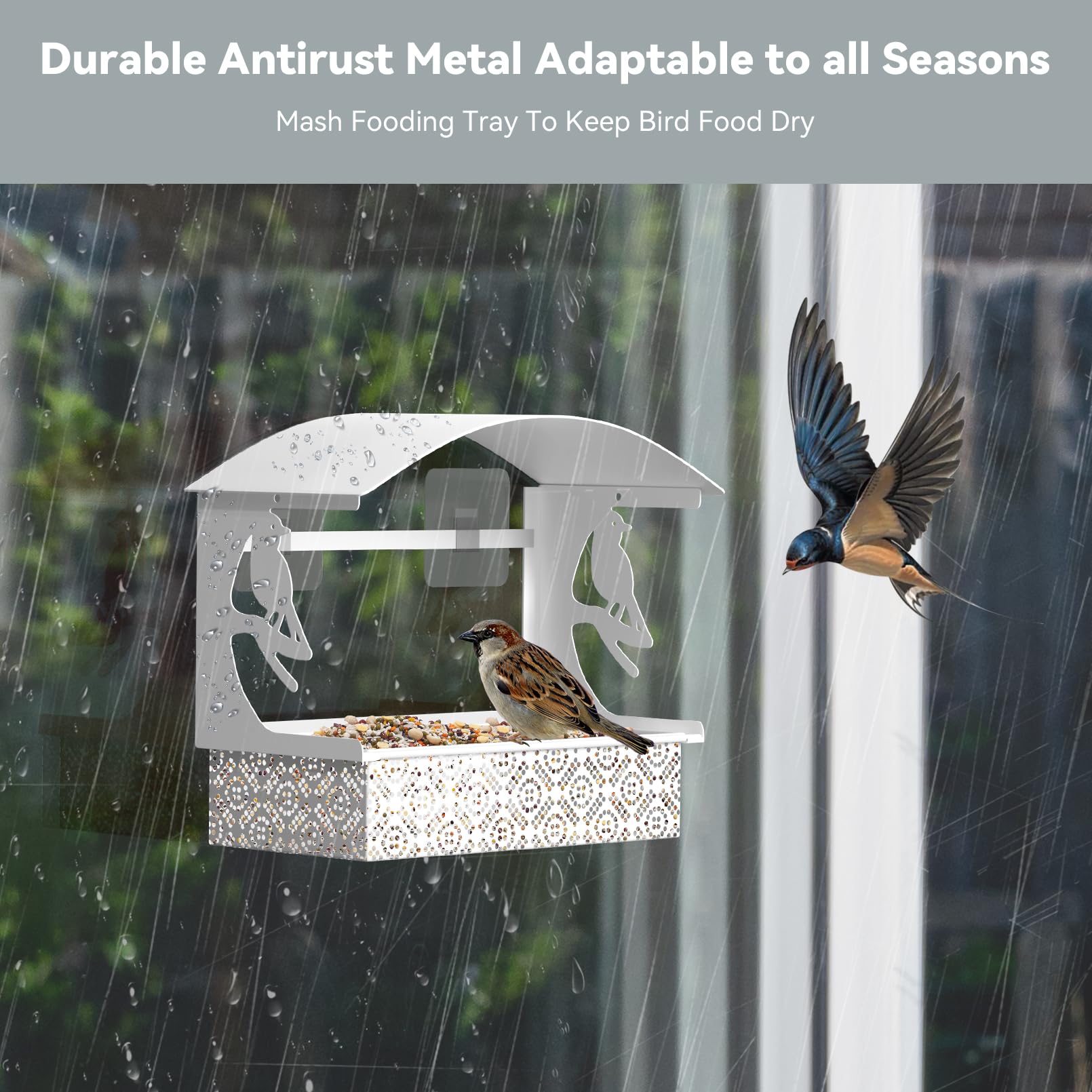 Tonitrui window bird feeder large viewing window delivers up-close wildlife viewing.