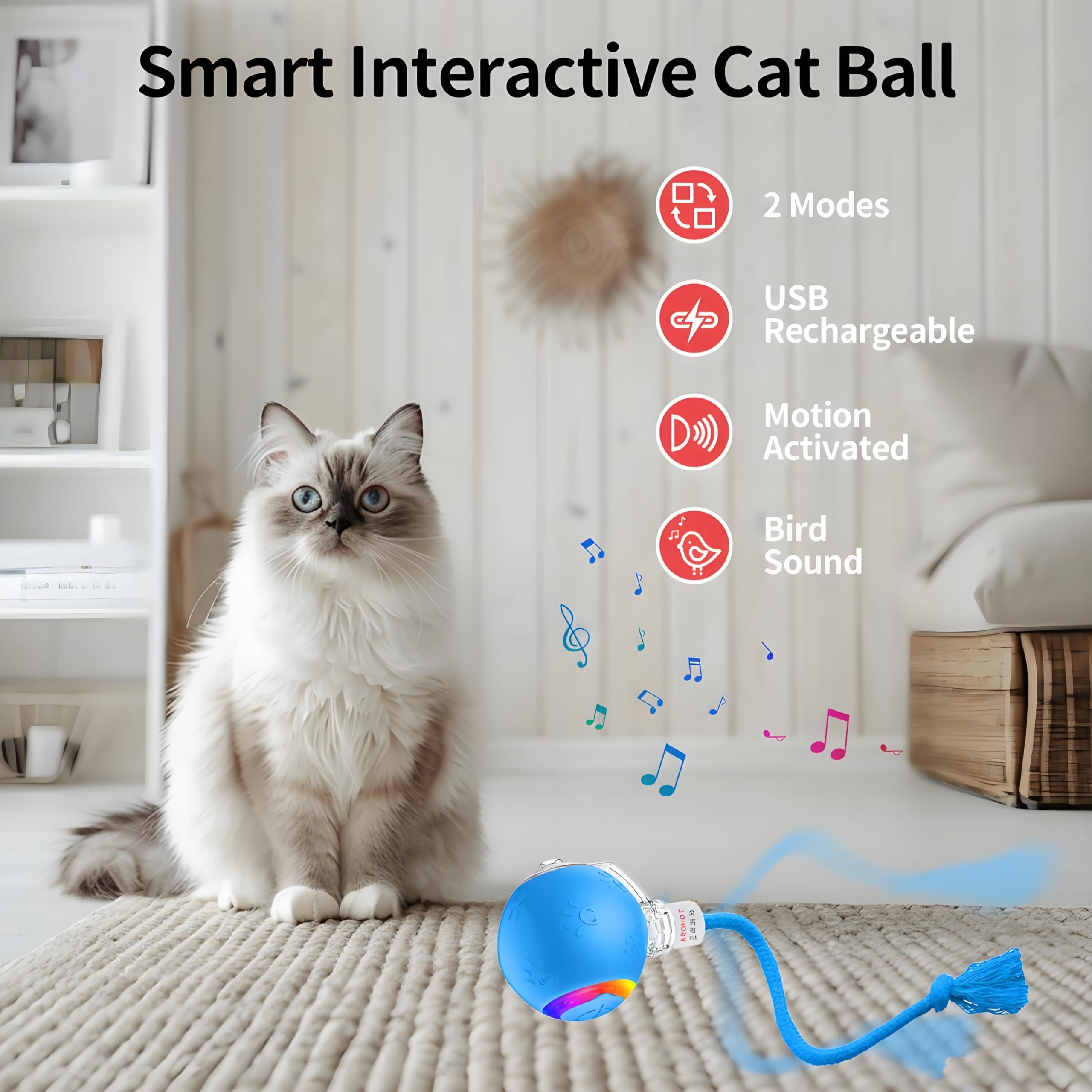 TONOSA cat ball rolling on carpet demonstrates versatile movement across floor types.