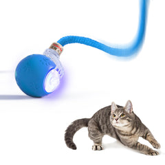 TONOSA interactive cat ball on floor enables active play and hunting instincts.