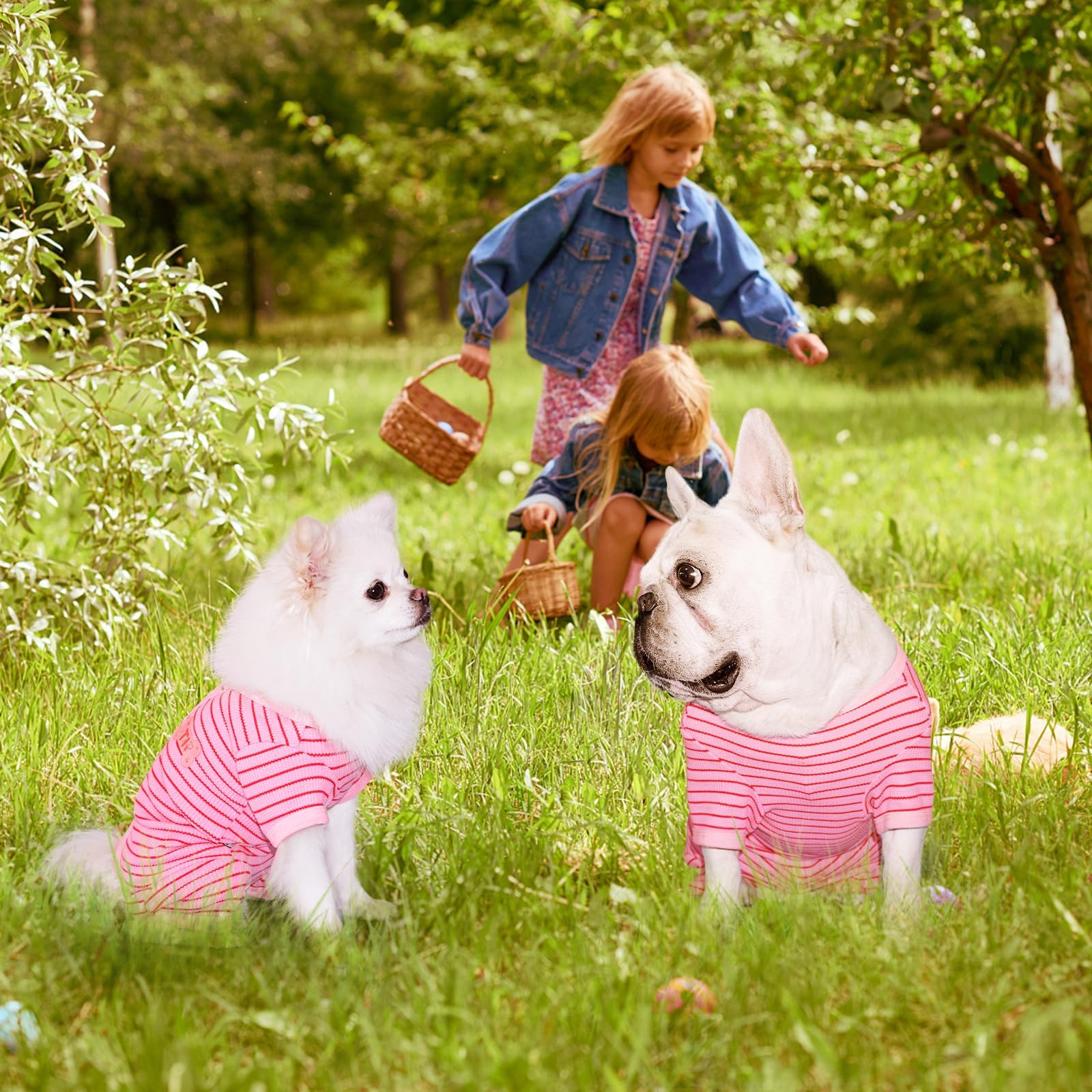 TONY HOBY dog wearing pink pajama sitting, showcasing stylish fit.