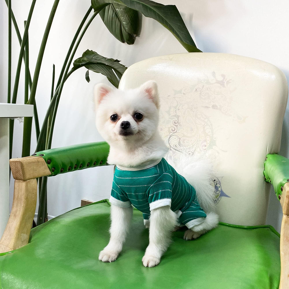 TONY HOBY green dog shirt fits small to medium breeds with breathable comfort