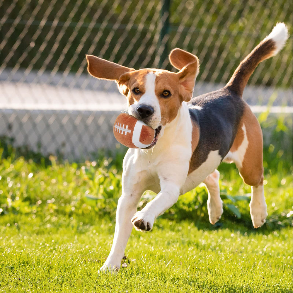 TONYFY six-sizes design fits small to medium dogs for a tailored toy match