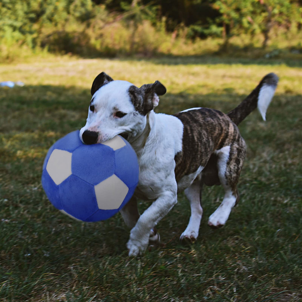 TONYFY large 7-inch dog toy fits medium to large breeds for shared fun.