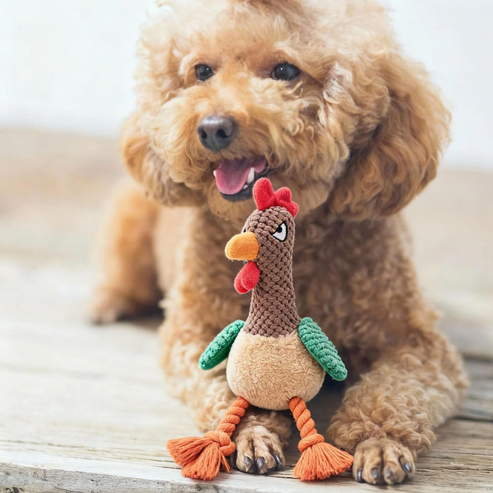 TONYFY rooster knot squeaky toy crinkle paper shown for focused training moments
