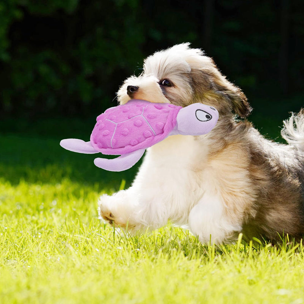 TONYFY Squeaky Sea Turtle Toy gift-ready—durable and adorable.