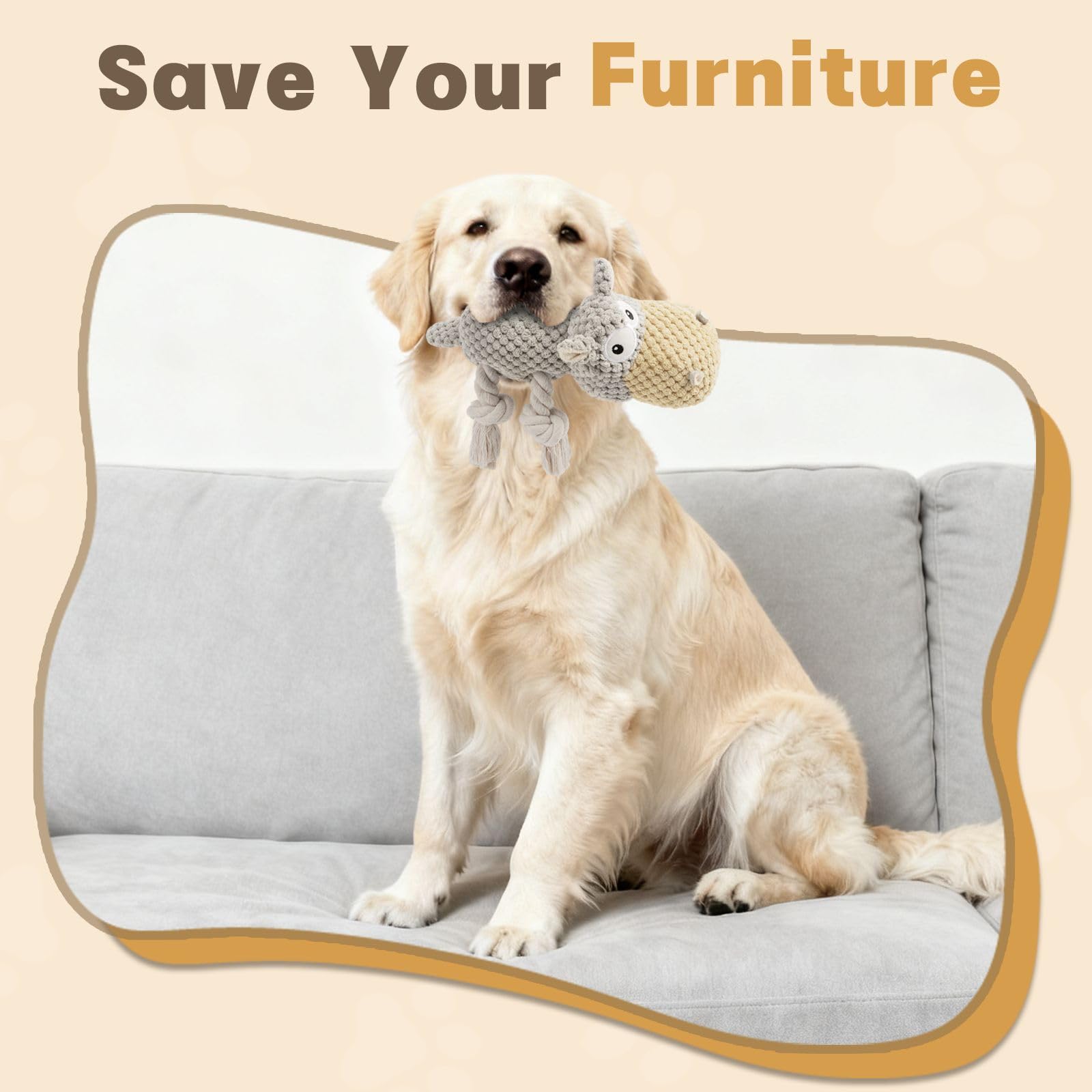 TOOPTATE toy includes responsive after-sales support for peace of mind