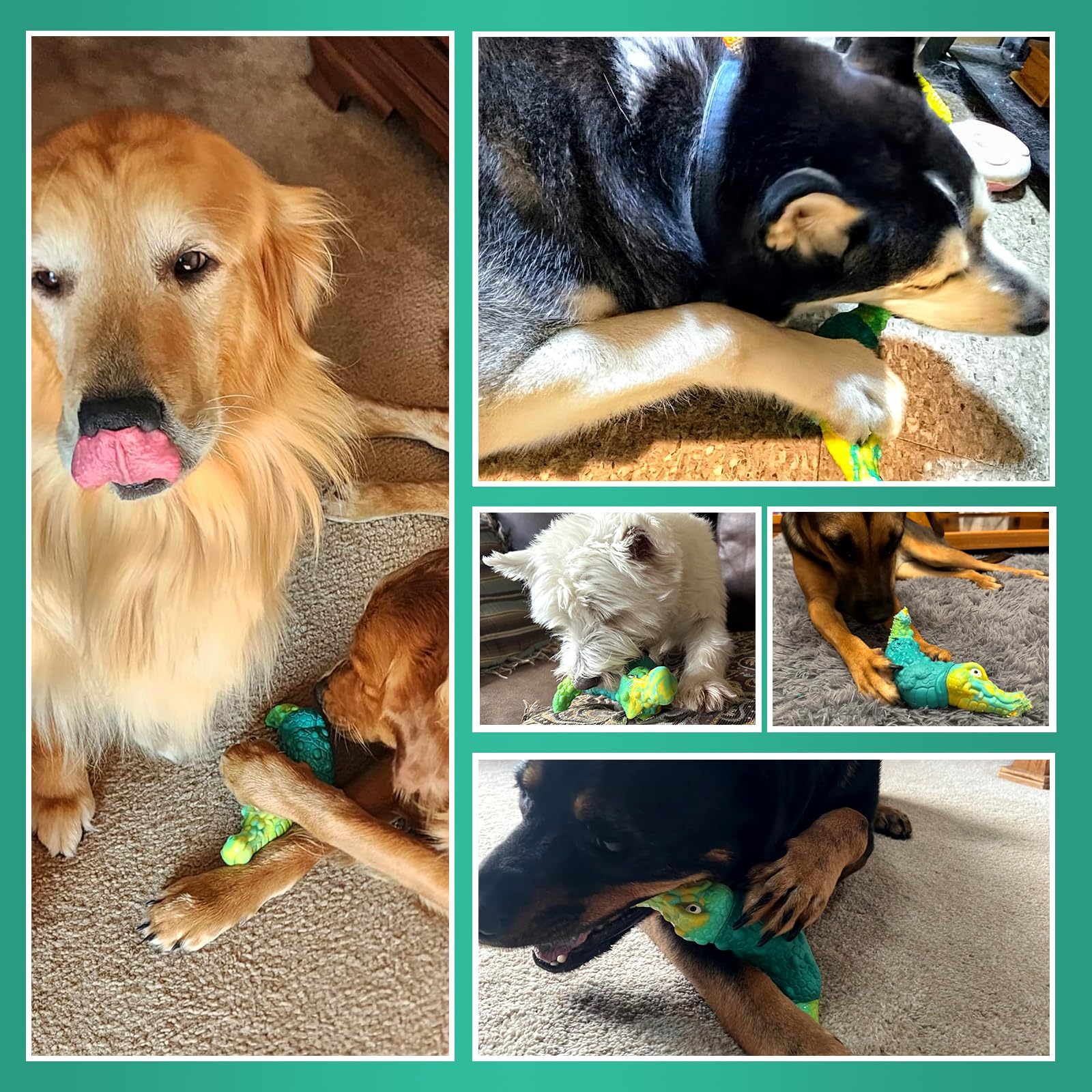 TOOPTATE 7.25 by 3.5 inch size fits medium and large dogs