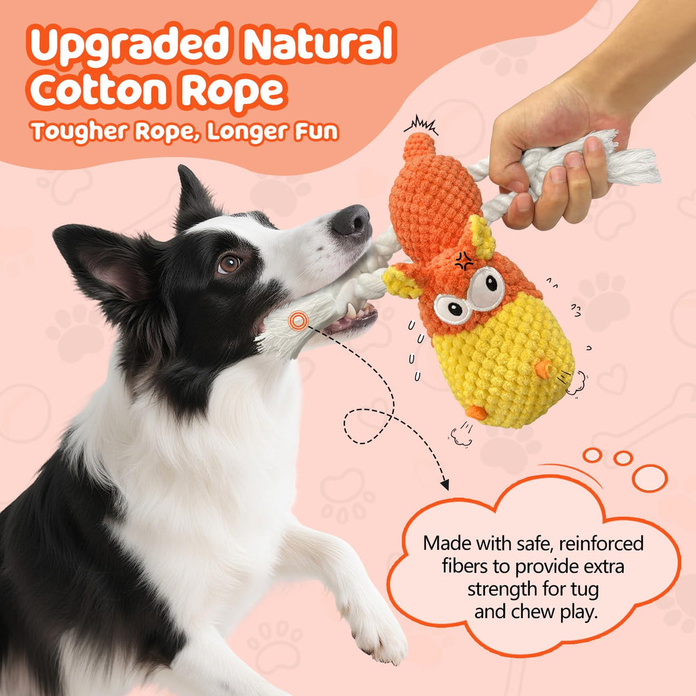 TOOPTATE Hippo in a dog-tug session highlighting bonding and play